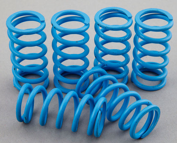 EVOLUTION INDUSTRIES - REPLACEMENT COIL SPRINGS