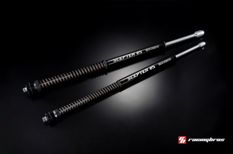 Racing Bros Scepter 25 Cartridge Fork Kit
