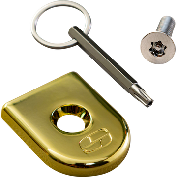 Saddlemen Security Seat Screw