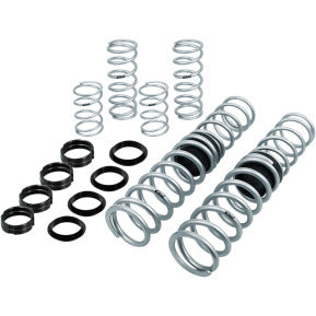 EIBACH - PRO UTV STAGE 2 PERFORMANCE SHOCJ SPRING SYSTEM - FOR OEM WALKER EVANS SHOCK W/ RESERVOIR - '18 RZR