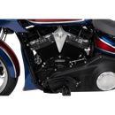 Thrashin Supply Co. billet aluminum shifter lever for 2018–2025 Harley-Davidson Softail Street Bob Low Rider Low Rider S mid controls