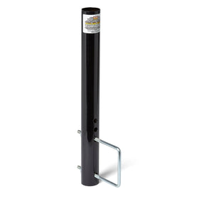 Bumper/Frame Mount (4