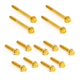 ARLEN NESS Primary Cover Titanium 12-Point Bolt Kits, Gold