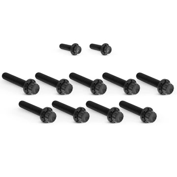 ARLEN NESS Cam Cover Titanium 12-Point Bolt Kits, Black