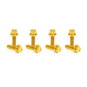 ARLEN NESS Lifter Block Titanium 12-Point Bolt Kits, Gold