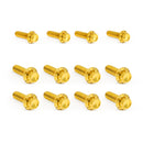 ARLEN NESS Transmission Side Cover & Trap Door Titanium 12-Point Bolt Kits, Gold-2