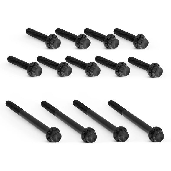 ARLEN NESS Primary Cover Titanium 12-Point Bolt Kits, Black