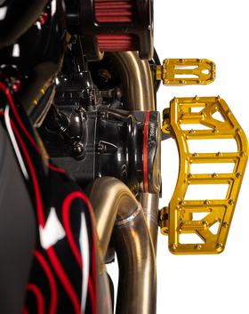 THRASHIN SUPPLY CO. Aggressor Floorboards - Gold TSC-2219-5