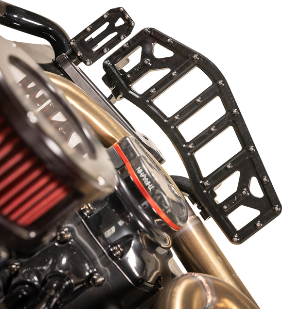 THRASHIN SUPPLY CO. Aggressor Floorboards - Black TSC-2219-1