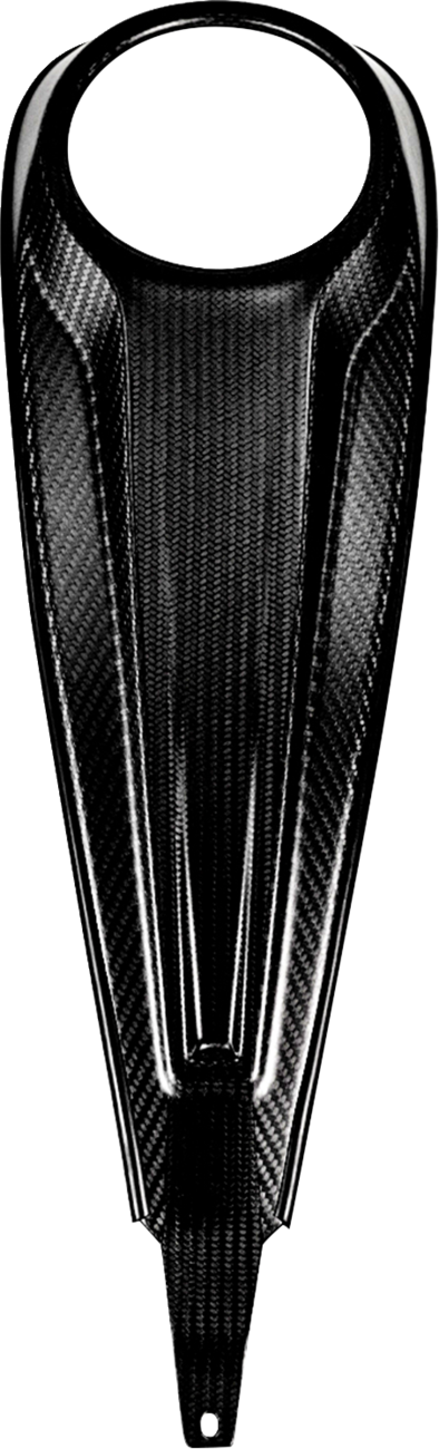 SADDLEMEN Dash Panel - Center Fill - Carbon Fiber/Gloss CF-823-07-002