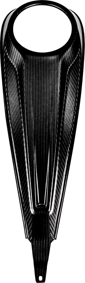 SADDLEMEN Dash Panel - Center Fill - Carbon Fiber/Gloss CF-823-07-002