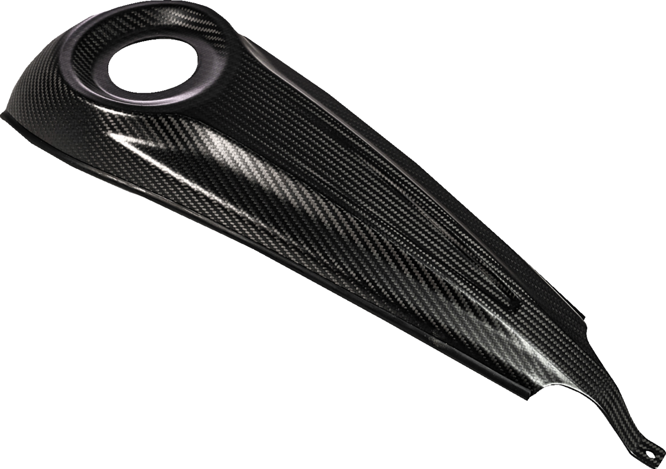 SADDLEMEN Dash Panel - Center Fill - Carbon Fiber/Gloss CF-808-07-001
