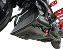 THRASHIN SUPPLY CO. Skid Plate - Carbon Fiber/Gloss - With Red Brackets - FLHX/FLTRX TSC-3034-2