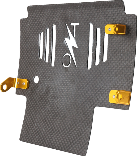 THRASHIN SUPPLY CO. Skid Plate - Carbon Fiber/Gloss - With Gold Brackets - FLHX/FLTRX TSC-3034-5