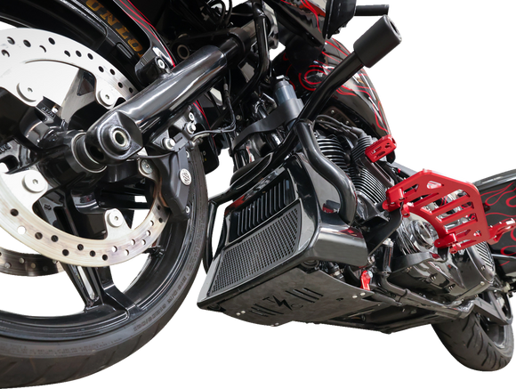 THRASHIN SUPPLY CO. Skid Plate - Carbon Fiber/Forged - With Red Brackets - FLHX/FLTRX TSC-3035-2