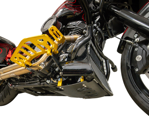 THRASHIN SUPPLY CO. Skid Plate - Carbon Fiber/Gloss - With Gold Brackets - FLHX/FLTRX TSC-3034-5