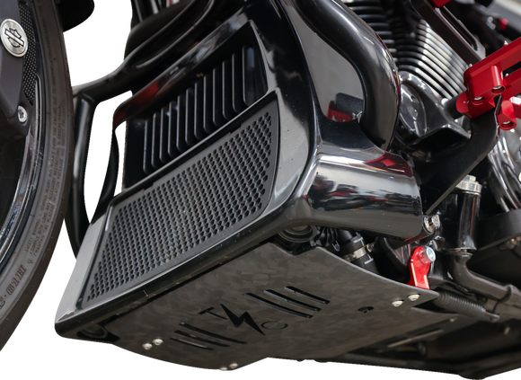 THRASHIN SUPPLY CO. Skid Plate - Carbon Fiber/Forged - With Red Brackets - FLHX/FLTRX TSC-3035-2