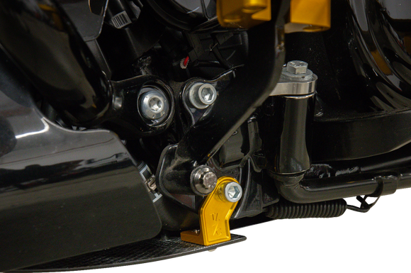 THRASHIN SUPPLY CO. Skid Plate - Carbon Fiber/Gloss - With Gold Brackets - FLHX/FLTRX TSC-3034-5