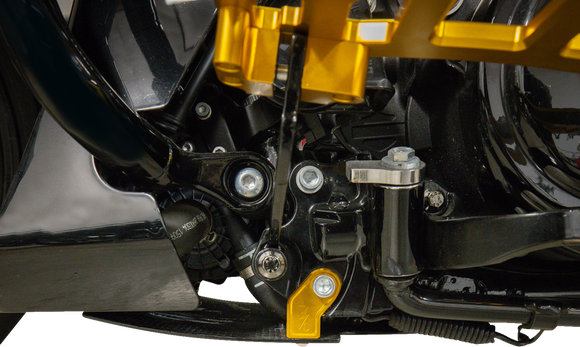 THRASHIN SUPPLY CO. Skid Plate - Carbon Fiber/Gloss - With Gold Brackets - FLHX/FLTRX TSC-3034-5