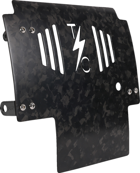 THRASHIN SUPPLY CO. Skid Plate - Carbon Fiber/Forged - With Black Brackets - FLHX/FLTRX TSC-3035-1
