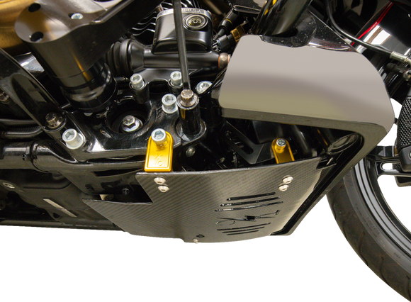 THRASHIN SUPPLY CO. Skid Plate - Carbon Fiber/Gloss - With Gold Brackets - FLHX/FLTRX TSC-3034-5
