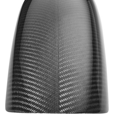 SlyFox Carbon Fiber Front Fender 14+ FL