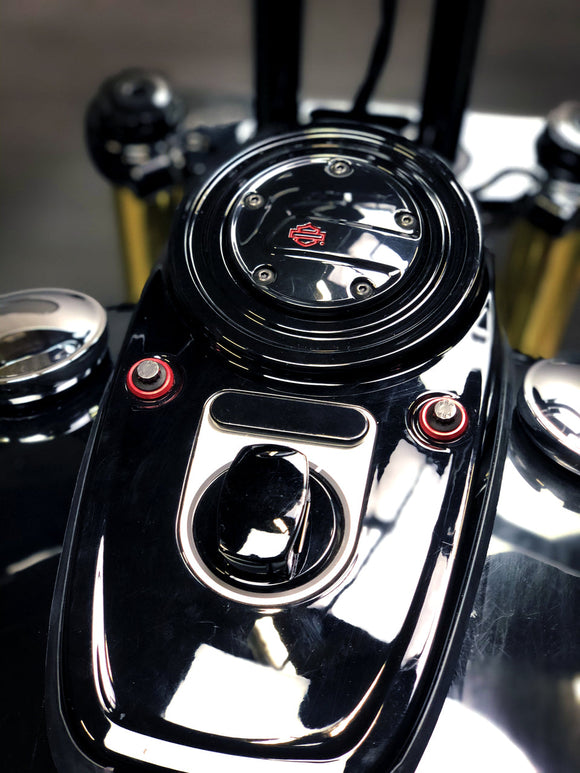 31 STATE - TIMER COVER STYLE BLOCK-OFF PLATE - '04-17 DYNA