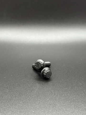 Close-up of BAMCO ARP stainless bolts installed on a Harley-Davidson Harley, ARP Docking Hardware Kit