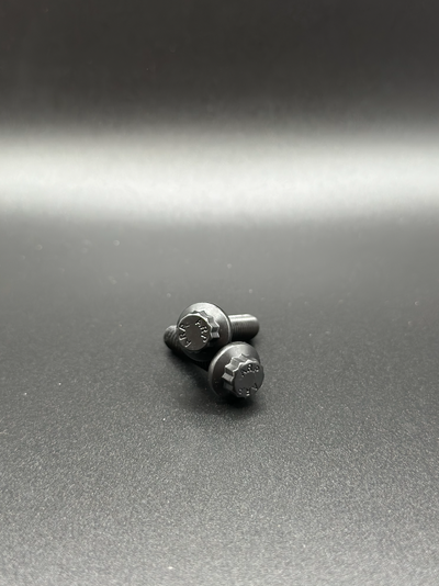 Close-up of BAMCO ARP stainless bolts installed on a Harley-Davidson Harley, ARP Docking Hardware Kit