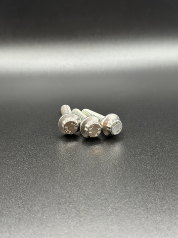 Close-up of BAMCO ARP stainless bolts installed on a Harley-Davidson Bagger, Bagger Floorboard ARP Bolts