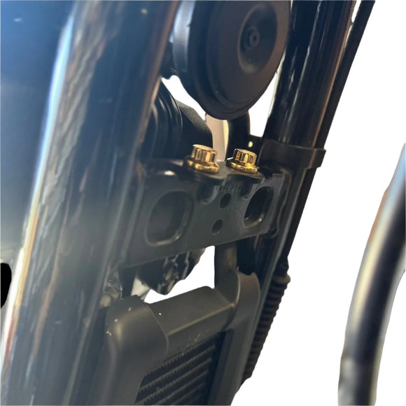 Pair of Bamco ARP stainless steel gold‑plated 12‑point bolts installed on 2018+ Harley‑Davidson Softail M8 top motor mount