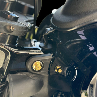 Close-up of gold ARP 12-point stainless steel tank bolts by Bamco installed on a black 2018+ Harley Softail