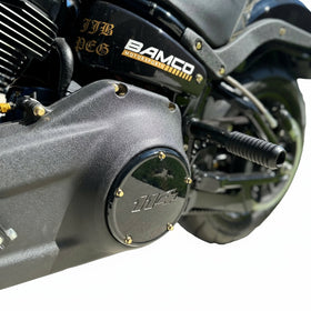 Gold ARP stainless steel bolts on Bamco Harley-Davidson M8 Softail derby cover