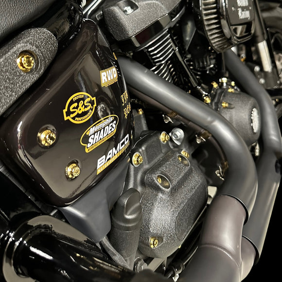 Close-up of Harley-Davidson Softail engine side cover showing gold Bamco ARP stainless-steel 12-point bolts