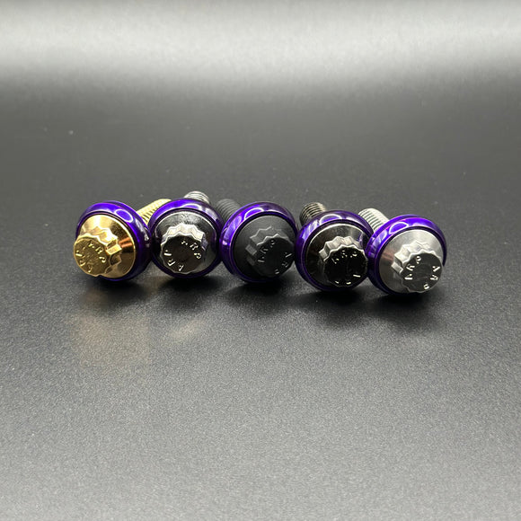 Five Bamco ARP stainless-steel Harley‑Davidson bolts with purple anodized washers and mixed metal finishes on black background