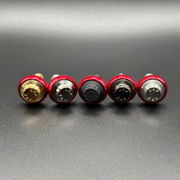 Set of five ARP stainless steel bolts for Harley-Davidson by Bamco with red anodized collars, gold, silver and black