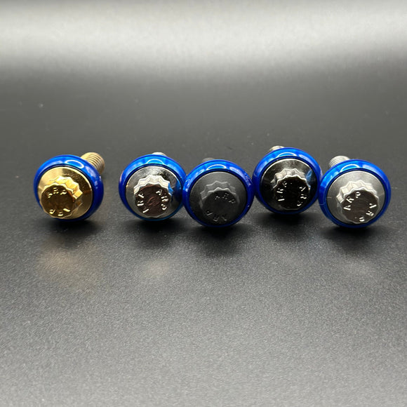 Bamco ARP stainless steel Harley Davidson bolts with blue anodized washers, set of five in gold, black and chrome finishes