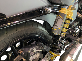 Legend Suspension- Revo ARC Gold - Dyna - 0