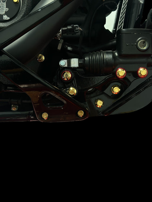 Close-up of BAMCO ARP stainless bolts installed on a Harley-Davidson M8 Softail, M8 Softail Footpeg Mounting ARP Kit