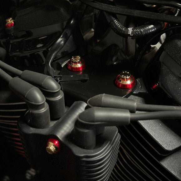 BAMCO M8 Softail Mid Engine Mount ARP Kit, ARP stainless steel 12 point bolts for Harley-Davidson M8 Softail