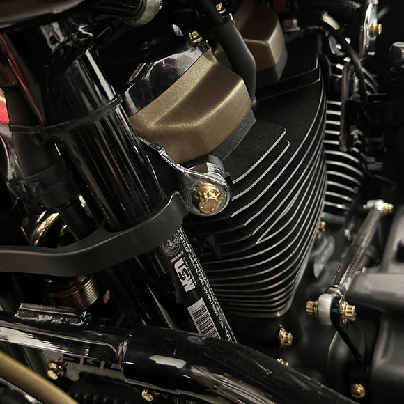 BAMCO Bagger Front Motor Mount ARP Kit, ARP stainless steel 12 point bolts for Harley-Davidson Bagger