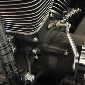 BAMCO Twin Cam Case ARP Bolts, ARP stainless steel 12 point bolts for Harley-Davidson Twin Cam