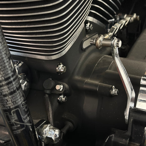 BAMCO Twin Cam Case ARP Bolts, ARP stainless steel 12 point bolts for Harley-Davidson Twin Cam