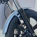 BAMCO Dyna & M8 Street Bob Front Fender ARP Bolt Kit, ARP stainless steel 12 point bolts for Harley-Davidson Dyna