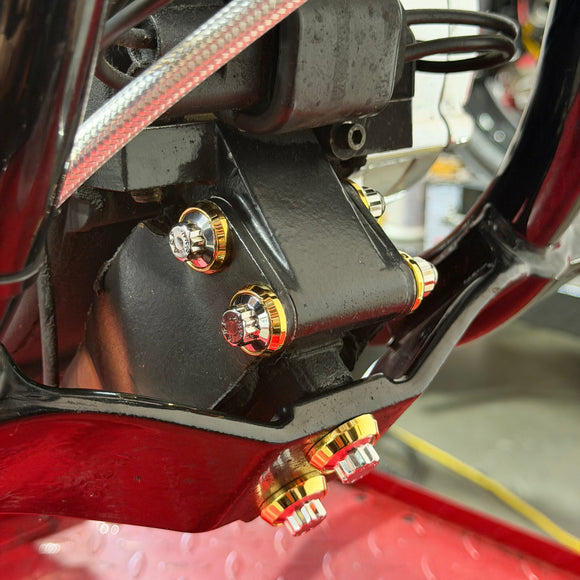 BAMCO Dyna Isolator ARP Bolt Kit, ARP stainless steel 12 point bolts for Harley-Davidson Dyna