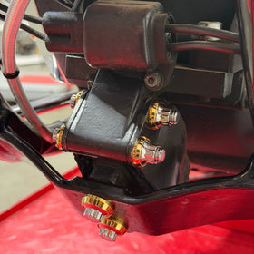 Close-up of BAMCO ARP stainless bolts installed on a Harley-Davidson Dyna, Dyna Isolator ARP Bolt Kit