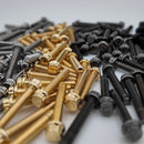 Close-up of BAMCO ARP stainless bolts installed on a Harley-Davidson Harley, Brake Light ARP Kit