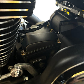 Bamco ARP stainless steel gold 12-point bolts on Harley-Davidson 6-speed transmission top cover, 6-bolt kit fits Softail, Bagger, 06+ Dyna