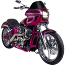 Saddlemen S