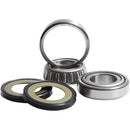 Pivot Works Neck Bearing Kit-1